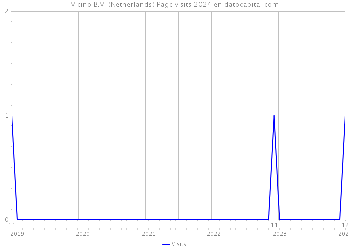 Vicino B.V. (Netherlands) Page visits 2024 