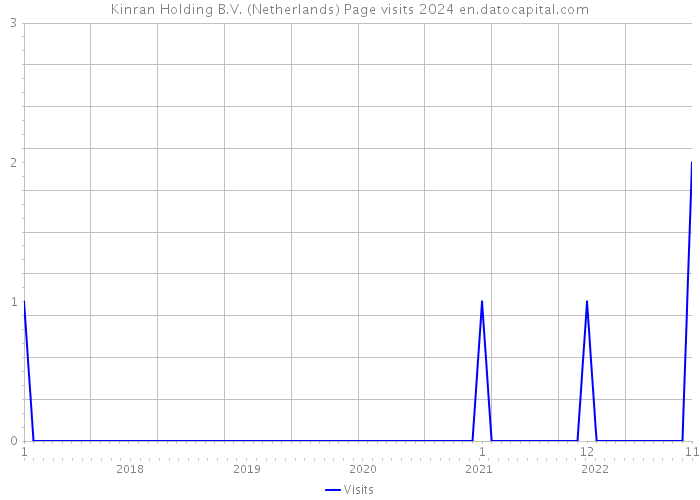 Kinran Holding B.V. (Netherlands) Page visits 2024 