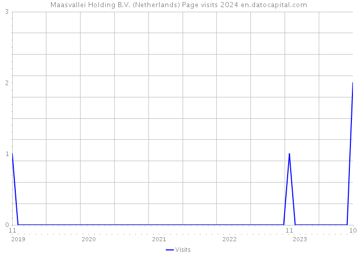 Maasvallei Holding B.V. (Netherlands) Page visits 2024 