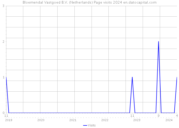 Bloemendal Vastgoed B.V. (Netherlands) Page visits 2024 