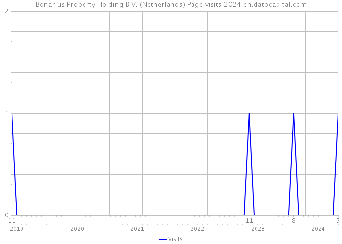 Bonarius Property Holding B.V. (Netherlands) Page visits 2024 