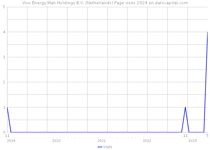 Vivo Energy Mali Holdings B.V. (Netherlands) Page visits 2024 