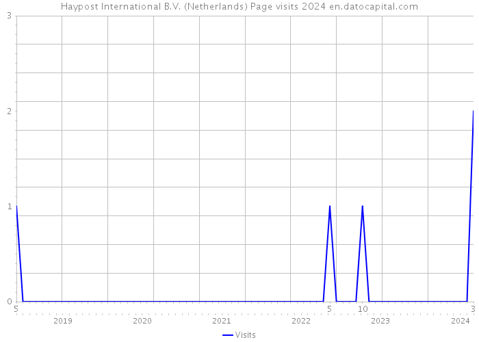 Haypost International B.V. (Netherlands) Page visits 2024 