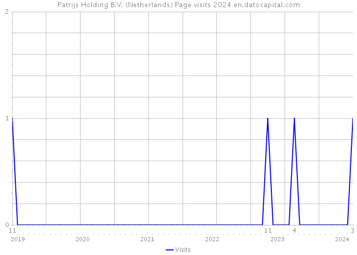 Patrijs Holding B.V. (Netherlands) Page visits 2024 