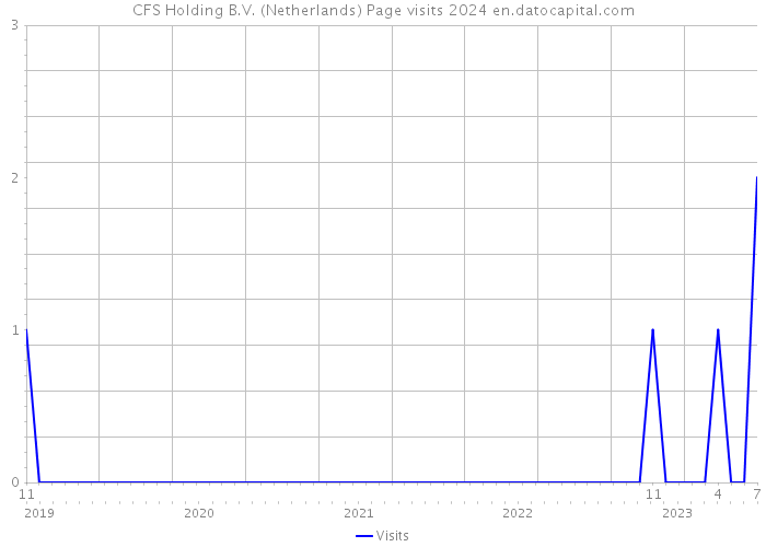 CFS Holding B.V. (Netherlands) Page visits 2024 