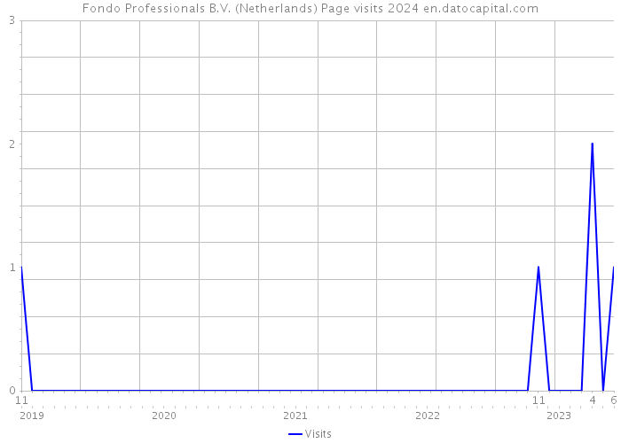 Fondo Professionals B.V. (Netherlands) Page visits 2024 