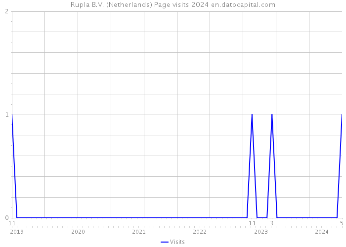 Rupla B.V. (Netherlands) Page visits 2024 