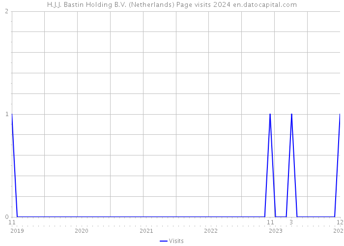 H.J.J. Bastin Holding B.V. (Netherlands) Page visits 2024 