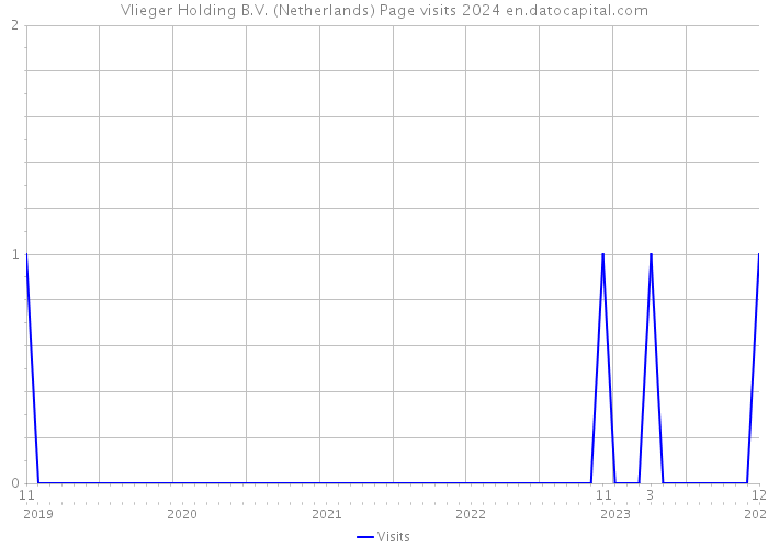 Vlieger Holding B.V. (Netherlands) Page visits 2024 