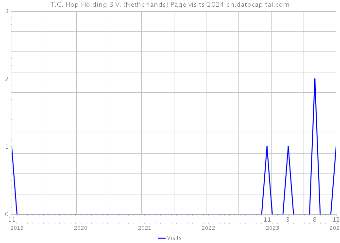 T.G. Hop Holding B.V. (Netherlands) Page visits 2024 