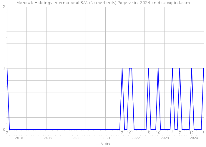 Mohawk Holdings International B.V. (Netherlands) Page visits 2024 