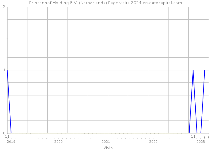 Princenhof Holding B.V. (Netherlands) Page visits 2024 