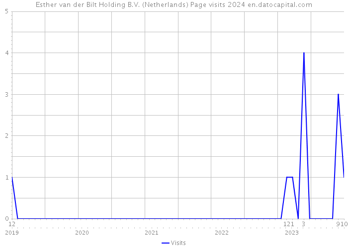 Esther van der Bilt Holding B.V. (Netherlands) Page visits 2024 