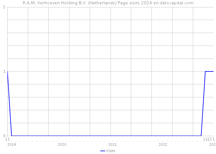 R.A.M. Verhoeven Holding B.V. (Netherlands) Page visits 2024 