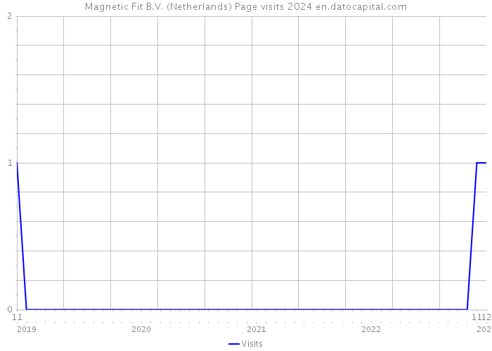Magnetic Fit B.V. (Netherlands) Page visits 2024 