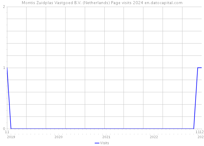 Montis Zuidplas Vastgoed B.V. (Netherlands) Page visits 2024 