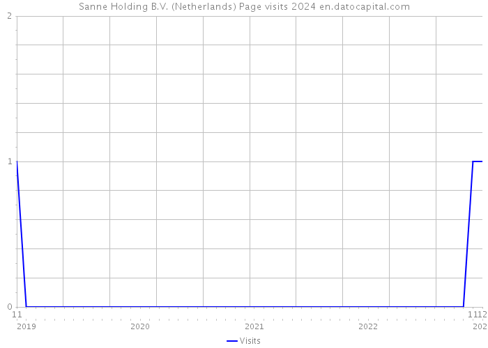 Sanne Holding B.V. (Netherlands) Page visits 2024 