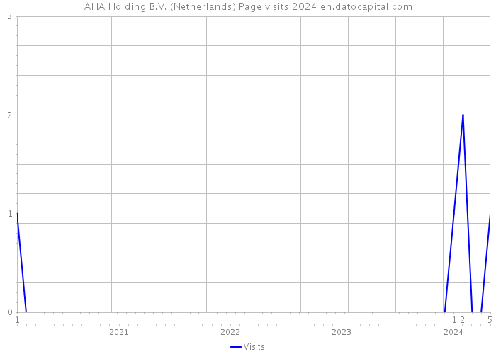AHA Holding B.V. (Netherlands) Page visits 2024 