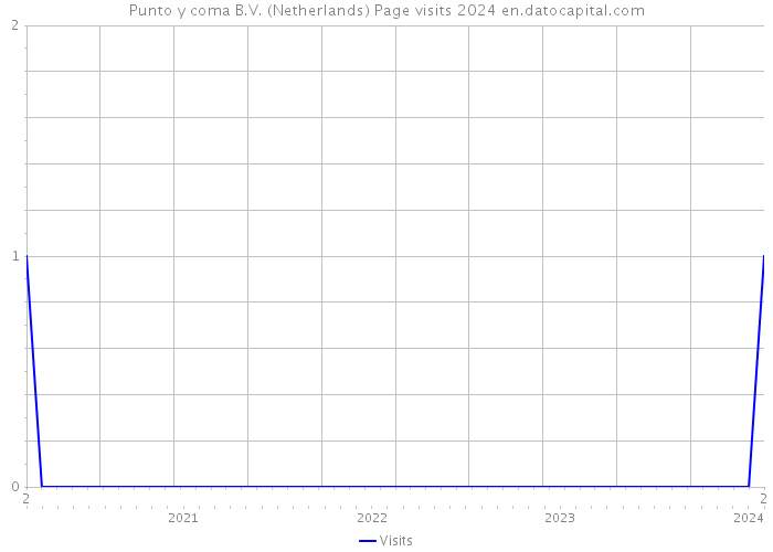 Punto y coma B.V. (Netherlands) Page visits 2024 