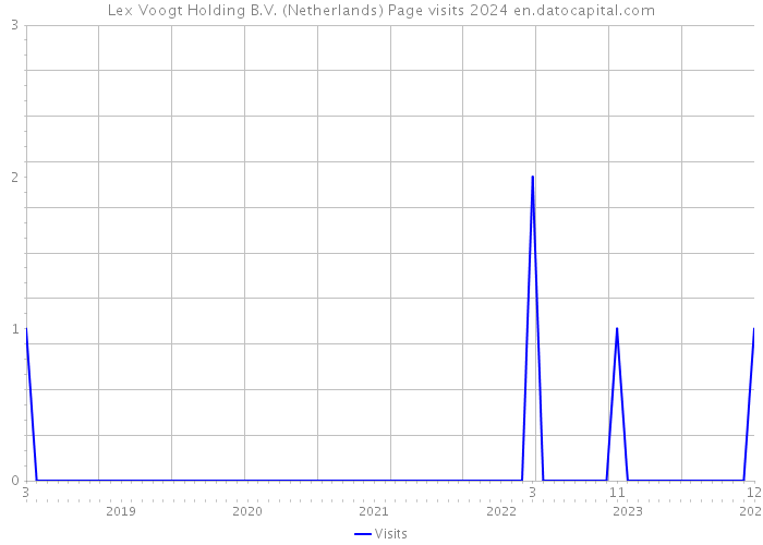 Lex Voogt Holding B.V. (Netherlands) Page visits 2024 