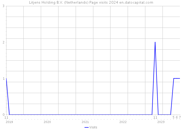 Litjens Holding B.V. (Netherlands) Page visits 2024 