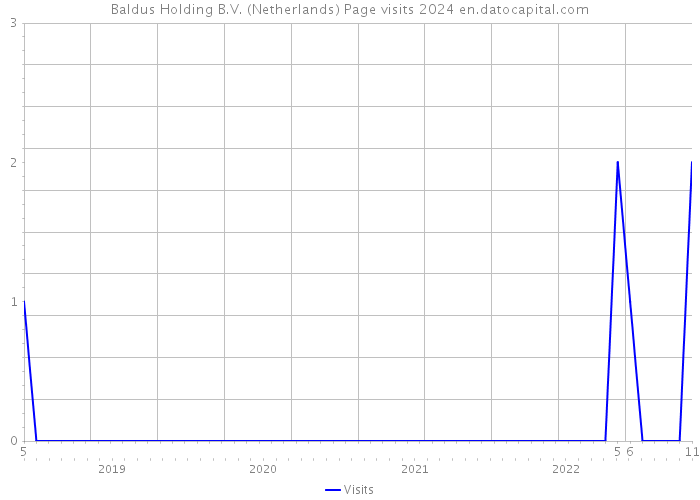 Baldus Holding B.V. (Netherlands) Page visits 2024 