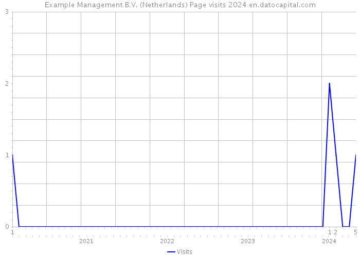 Example Management B.V. (Netherlands) Page visits 2024 