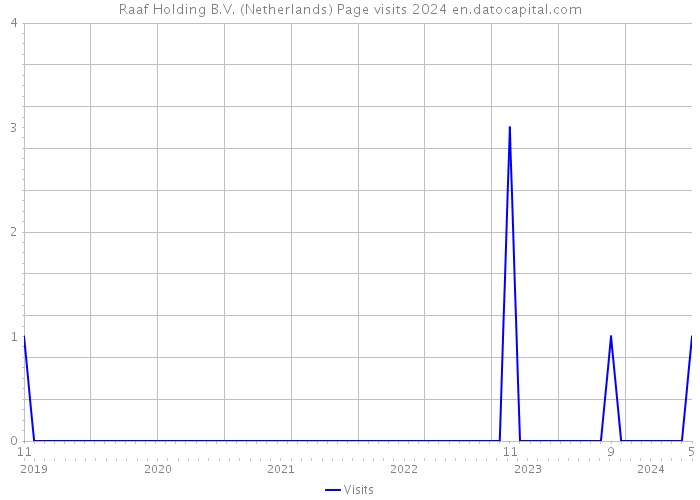 Raaf Holding B.V. (Netherlands) Page visits 2024 