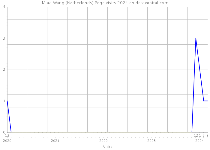 Miao Wang (Netherlands) Page visits 2024 