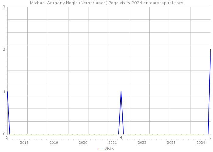 Michael Anthony Nagle (Netherlands) Page visits 2024 