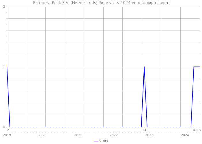 Riethorst Baak B.V. (Netherlands) Page visits 2024 