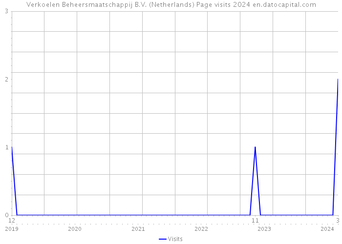 Verkoelen Beheersmaatschappij B.V. (Netherlands) Page visits 2024 