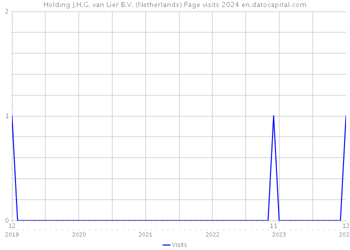 Holding J.H.G. van Lier B.V. (Netherlands) Page visits 2024 