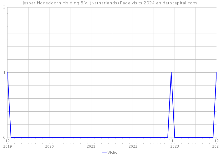 Jesper Hogedoorn Holding B.V. (Netherlands) Page visits 2024 