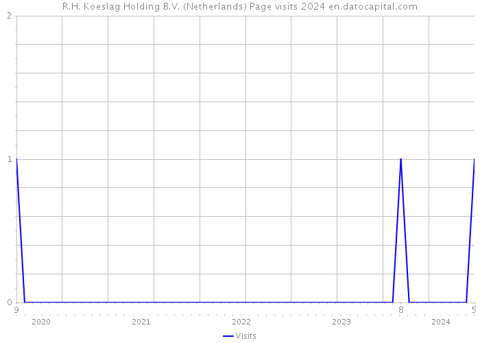 R.H. Koeslag Holding B.V. (Netherlands) Page visits 2024 