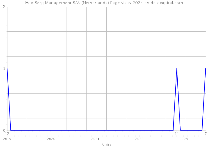HooiBerg Management B.V. (Netherlands) Page visits 2024 