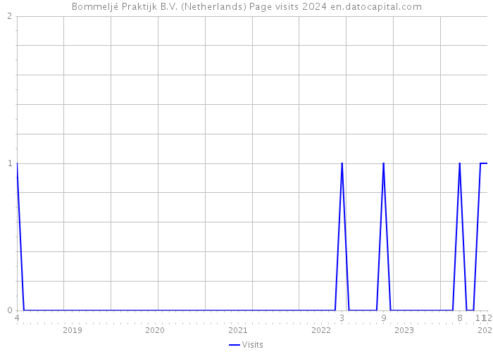 Bommeljé Praktijk B.V. (Netherlands) Page visits 2024 