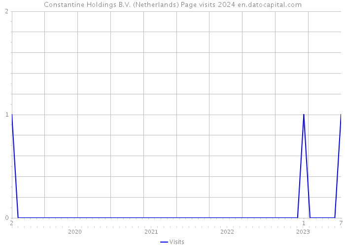 Constantine Holdings B.V. (Netherlands) Page visits 2024 
