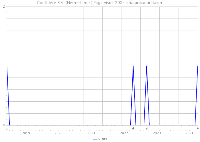 Confidere B.V. (Netherlands) Page visits 2024 