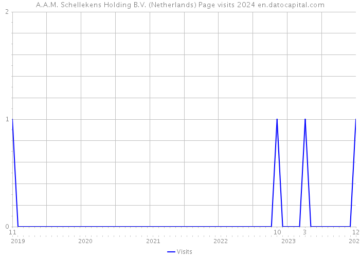 A.A.M. Schellekens Holding B.V. (Netherlands) Page visits 2024 