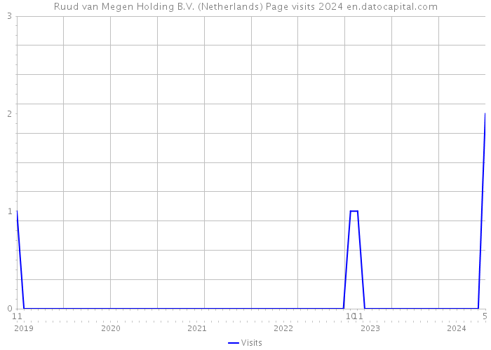 Ruud van Megen Holding B.V. (Netherlands) Page visits 2024 