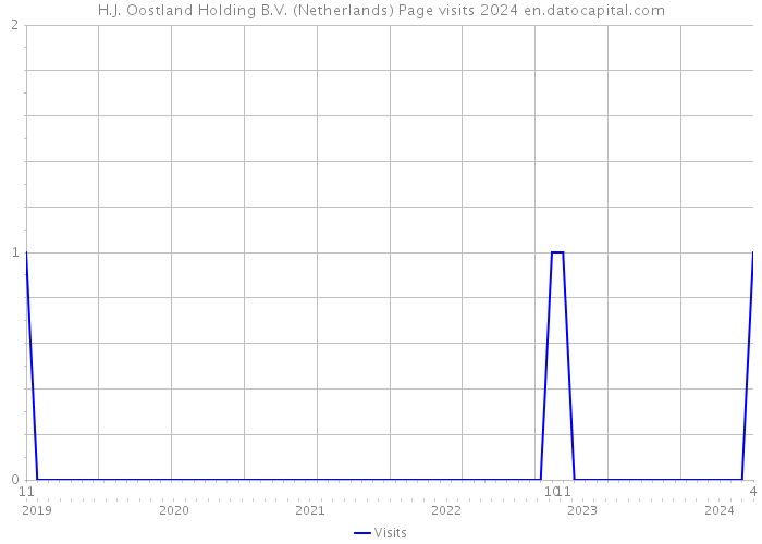 H.J. Oostland Holding B.V. (Netherlands) Page visits 2024 
