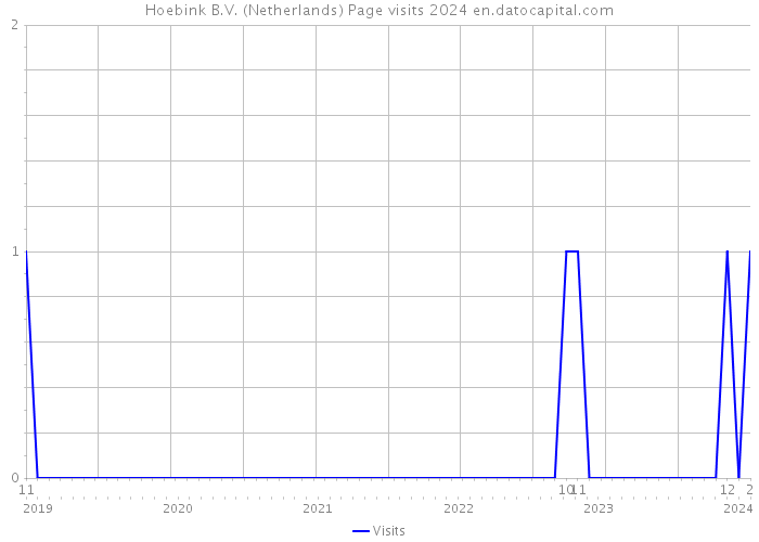 Hoebink B.V. (Netherlands) Page visits 2024 