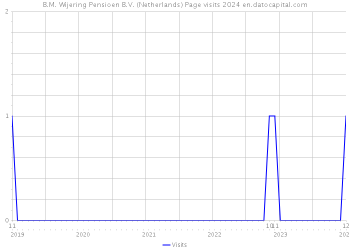 B.M. Wijering Pensioen B.V. (Netherlands) Page visits 2024 