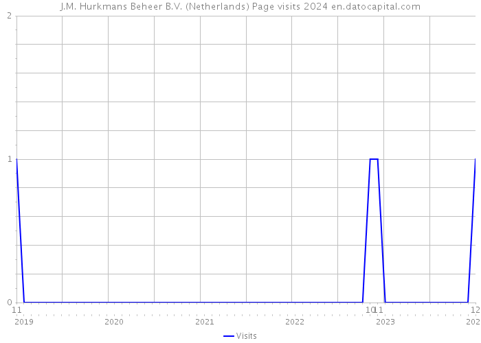 J.M. Hurkmans Beheer B.V. (Netherlands) Page visits 2024 