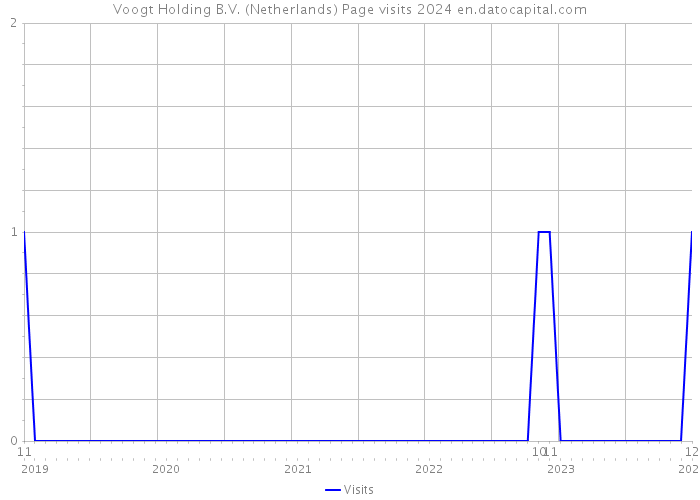 Voogt Holding B.V. (Netherlands) Page visits 2024 