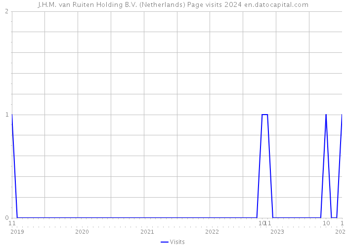 J.H.M. van Ruiten Holding B.V. (Netherlands) Page visits 2024 