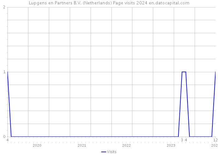 Lupgens en Partners B.V. (Netherlands) Page visits 2024 