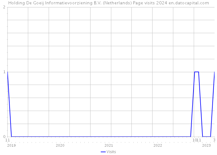 Holding De Goeij Informatievoorziening B.V. (Netherlands) Page visits 2024 