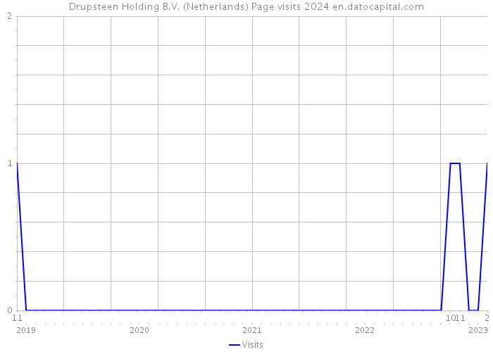 Drupsteen Holding B.V. (Netherlands) Page visits 2024 